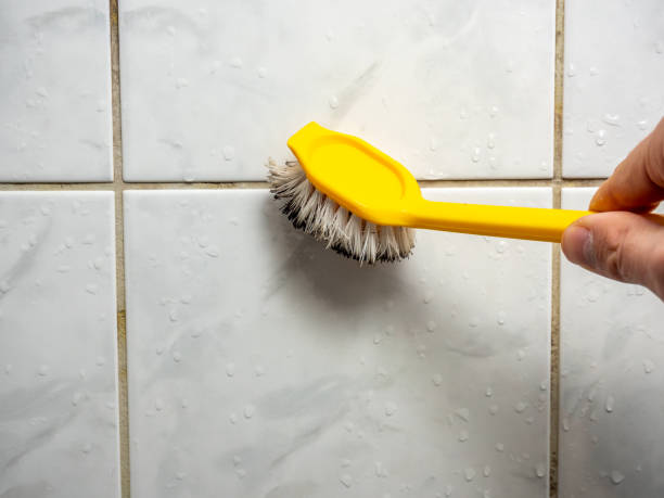 Best Localized Mold Remediation (e.g., coastal areas, humid climates) in Sandstone, MN