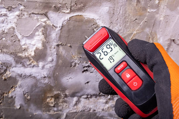 Best Mold Remediation for Specific Building Types in Sandstone, MN